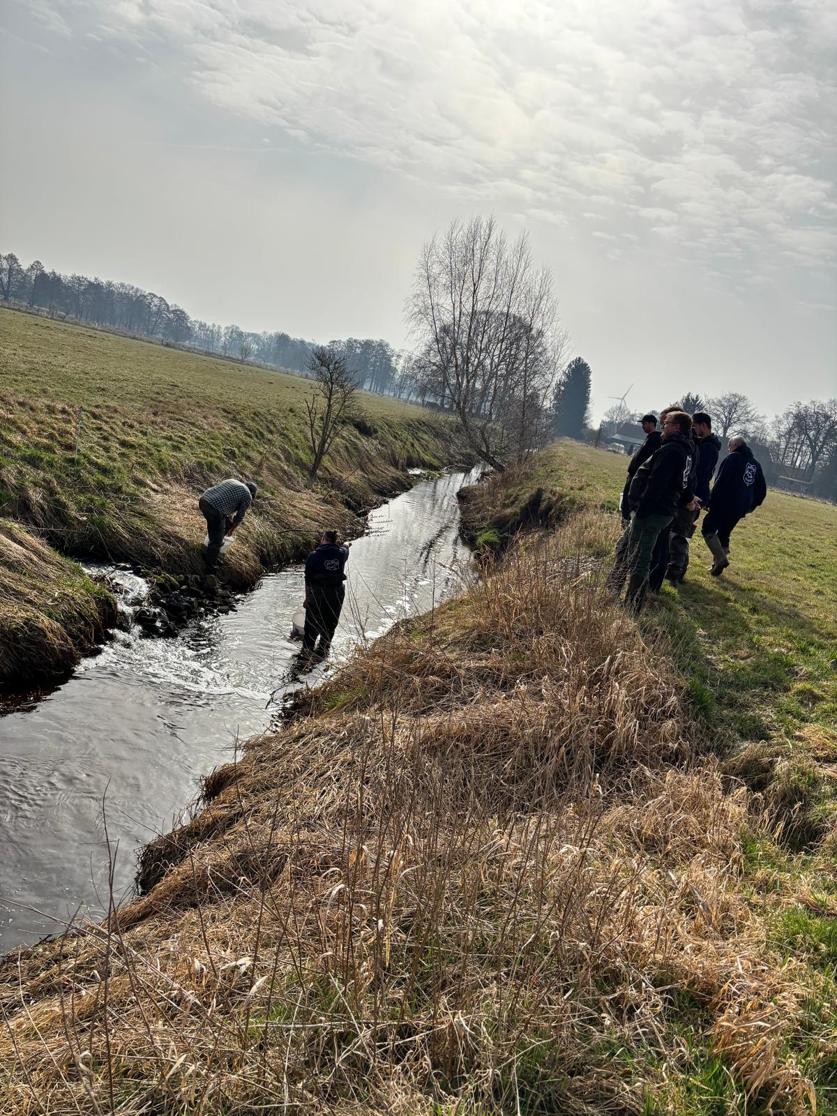 Meerforellenbesatz 5