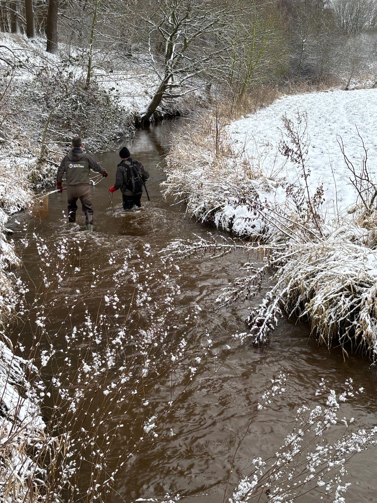Elektrofischen Harpstedt – Thumbnail